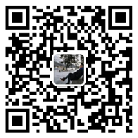 爱游戏体育网页版登录